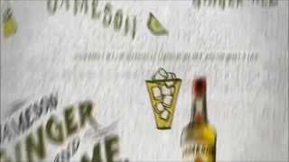 Jameson Ginger & Lime 2015 2016