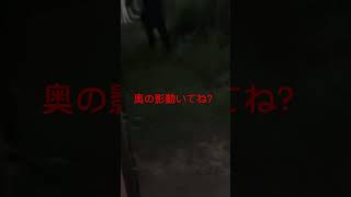 はじめしゃちょーの闇夜Y邸での動画で、不法侵入者もいると噂されている中での動画 #はじめしゃちょー #心霊 #闇夜#心霊スポット #衝撃 #怖い #サワベ