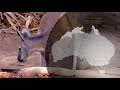 Wildlife  Episode 3 Kangaroos - Kings of the Outback  Free Documentary Nature