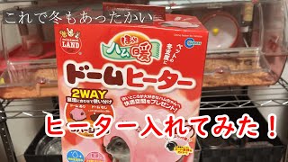 【あつまれてんぐの森】ハムスターのケージに置き型ヒーターを取り付けてみた【ハムチャンネル】【hamstar channel】