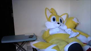 Random Cosplay Moment Tails Ready for a Nap