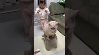 Cat and Baby  十八是怎么做到这么配合果果的？🤣🐱#cat #catandbaby #shorts