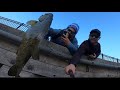 Chicago Harbor Fishing Lake Michigan || 4.75 Lb Small Mouth Bass Using Lures Fishing Tips For Bass