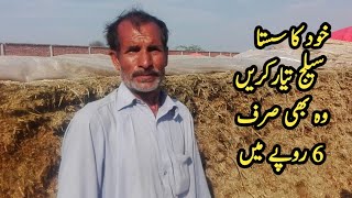 how to make silage | Silage banane ka behtarin Aasan tarika | Sasta Silage | Rs 06 ma