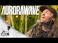 Aurorawave - Turn The Page (Live Music) | Sugarshack Sessions