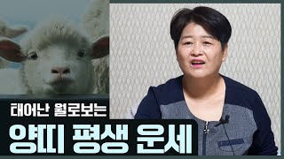 태어난 월생으로 보는 평생의 '양띠 운세' [1월생~12월생]