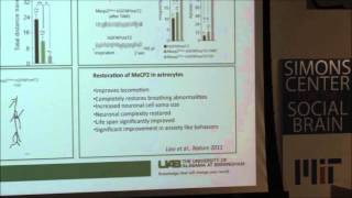 Michelle Olsen, Ph.D.: Altered Astrocyte Function in a Murine Model of Rett Syndrome