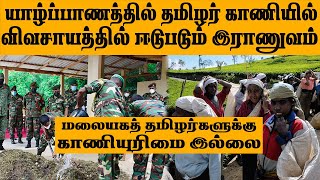 யாழில் தமிழர் காணியில் விவசாயத்தில் ஈடுபடும் இராணுவம் | மலையகத் தமிழர்களுக்கு காணியுரிமை இல்லை