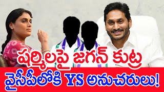 షర్మిలపై జగన్ కుట్ర..వైసీపీలోకి YS అనుచరులు! | #SPT