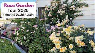 Rose Garden Tour 2025 - (Mostly) David Austin