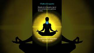 ✨SIGNIFICADO DE LOS 7 CHAKRAS PRINCIPALES! Localización y función de los 7 chakras del cuerpo humano
