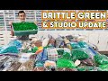 Brittle Green Plate Update | LEGO Studio Improvements!