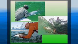 Aaron ADAMS 1/24/18 Linking Fish, Habitats, and Conservation