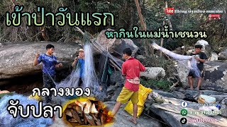 เข้าป่าหากินตามธรรมชาติที่แม่น้ำสายเชนวน//ເຂົ້າປ່າຫາກິນຕາມທຳມະຊາດທີ່ແມ່ນ້ຳສາຍເຊນວນ