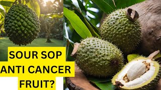 Soursop: The Superfruit Believed to Fight Cancer and Boost Health!