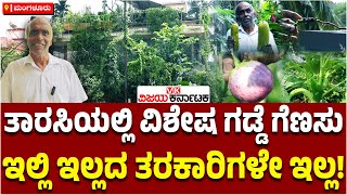 Mangaluru:  ತಾರಸಿಯಲ್ಲಿ ವಿಶೇಷ ಗಡ್ಡೆ-ಗೆಣಸು, ಇಲ್ಲಿ ಇಲ್ಲದ ತರಕಾರಿಗಳೇ ಇಲ್ಲ! | Vijay Karnataka