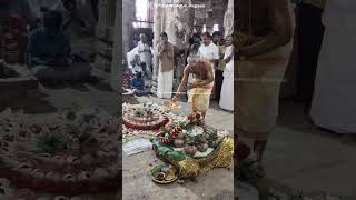 அபிஷேகம் ஸ்ரீ மாணிக்கவாசக சுவாமிகள் - திருப்பெருந்துறை