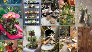 Gardening ideas for Home|Garden ideas