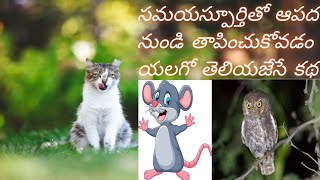 ఉపాయంతో కష్టం నుండి తపించుకోవడం ఏలా ?