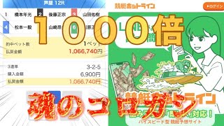 ヤケクソ！競艇にコロガシで大金賭けたらヤバい事になりました【競艇・ボートレース】#競艇 #万舟万張　#覚醒