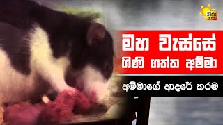 මහ වැස්සේ ගිණි ගත්ත අම්මා - MAHA WESSE GINI GATHTHA AMMA