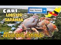 Cari Mang / Ngowang [ di Sarawak] Pengalaman Pertama aku