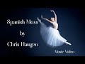 Spanish Moss by Chris Haugen NEW 4K (Music Video)