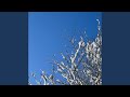 winter walks
