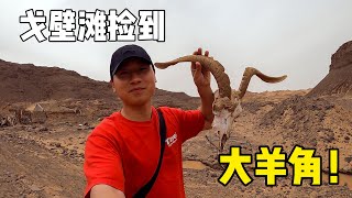 Car stuck again? ! The 500-kilometer Desert in Inner Mongolia is spectacular! | Travel with youth