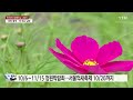 날씨 한로 흐리고 선선...서울정원박람회 나들이 인파 ytn