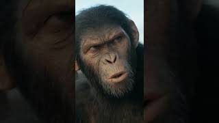 El Reino del Planeta de los Simios | Anuncio: 'Simios cazan a humanos' | HD
