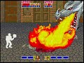 ゴールデンアックス「基板」２人用クリア　 arcade game golden axe 2pall