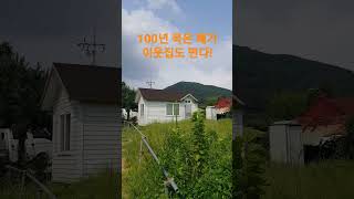 100년 묵은 폐가 이웃집도 떤다! 재미있는 Shorts 시골집 옛날집 여행 부동산 한옥 골동품 빈집