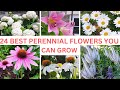 24 BEST PERENNIAL FLOWERS YOU CAN GROW IN ZONE 5A | #perennials #garden #gardening  #plants #flowers