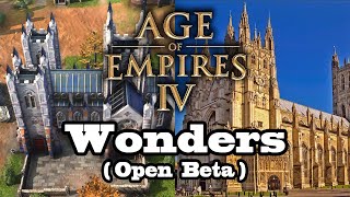 糟了，是世界奇觀！世紀帝國4世界奇觀原型探討（公測版）Age of Empires 4 Wonders Based (Open Beta)