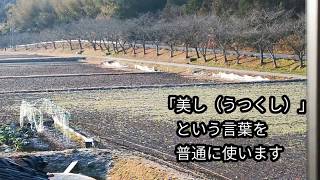 #田舎の風景　#何でもない日常　#田園風景　#田舎暮らし 【何気ない日常3】何でもない、田舎の風景ですが、どうぞ。「風のスケッチブック」volume3【ノーナレ】