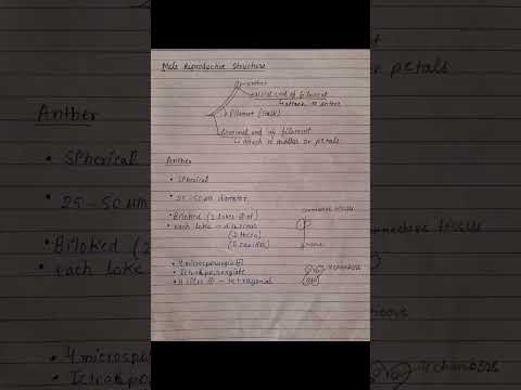 sexual reproduction in flowering plants #notes #class12 #biology #Botany #shorts