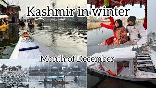 Winter trip to Kashmir in the month of December ||Srinagar dal lake|Hotel Nehru’s❄️❤️শ্রীনগর পর্ব-১