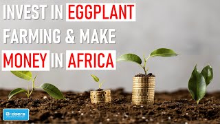 Make money through Eggplant farming