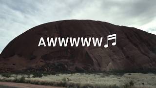 AUSTRALIA Ayers Rock  Uluru 女子旅【HIROKAのワーホリ生活】