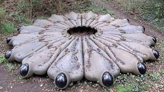 12 Most Strange And Incredible Finds In The Forest
