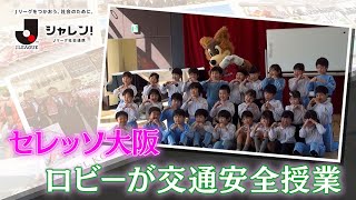 【Ｊフットニスタ】「シャレン！Jリーグ社会連携」セレッソ大阪　今川幼稚園で交通安全授業