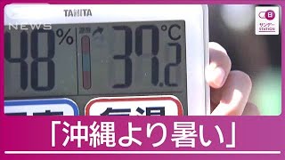 史上“最も遅い”猛暑日続出…都内でも 浅草サンバ「露出多いのに…汗止まらない」【サンデーステーション】(2024年9月15日)