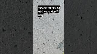 અચાનક આ બધા દર માંથી આ શું નીકળી પડ્યુ#viral #trending #funny