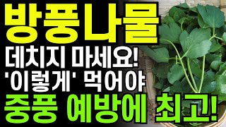 방풍나물‘이렇게’ 먹어야 온갖질병 사라집니다! 방풍나물과 함께 먹으면 최고의 음식3가지와 특급 레시피! 뇌졸중 예방. 치매 음식. 항암 음식. 중풍 예방!