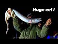 My biggest conger  EEL !! uk boat fishing