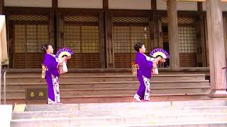 寿江鷹会③(日本舞踊)♪桜まつり♪/第25回稲沢市祖父江イチョウ黄葉まつり2022.11.19/マイナー城跡隊/