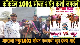 प्रेक्षणीय शर्यत #कॉकटेल #1001आणि #मथुर  #मथुर सोबत पळायची इच्छा खूप आहे #viralvideo #video