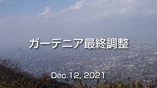 生駒山でガーデニアを調整