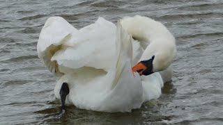 Stokesby Norfolk Broads after Storm Dennis